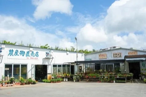 農産物直売店 畑人(はるさー)市